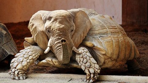 Produktpiraterie - Markenpiraterie - Detektiv - Detektei ManagerSOS,