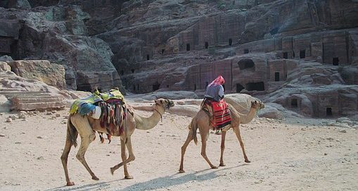 Detektei ManagerSOS - Detektiv Einsatz