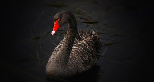 Detektei - Detektiv - Privatdetektiv für Frauen - Schwule - Homosexuelle Paare - Lesben - Bi und Gleichgeschlechtliche Beziehungen,