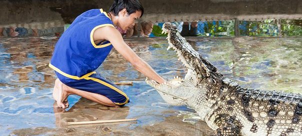 Detektei ManagerSOS - Risk-Management - Risikomanagement