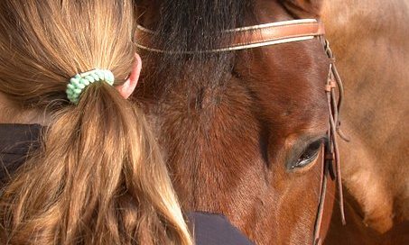 Detektei ManagerSOS Hannover Niedersachsen ,