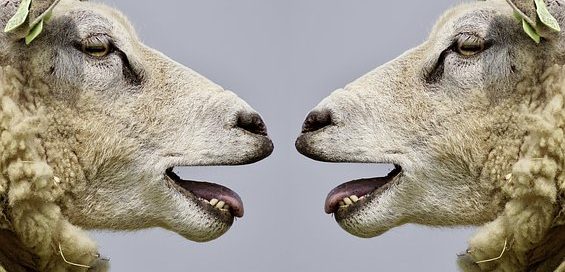 Detektei ManagerSOS Frankfurt - gegen Rufmord