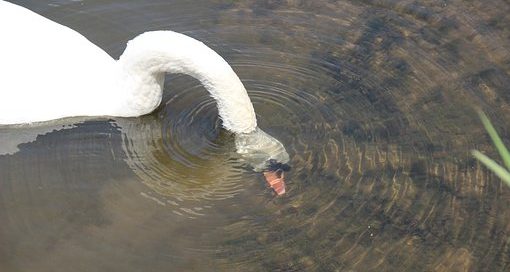 Detektei ManagerSOS - Detektiv Mallorca - Ibiza - Balearen -Berlin