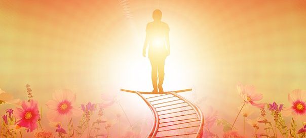 Detektei ManagerSOS Meerbusch - Düsseldorf - Köln - Detektiv ManagerSOS