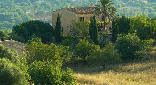 Detektei ManagerSOS Detektiv - ManagerSOS Erfurt - Weimar -Jena - Gera - Gotha - Suhl - Nordhausen,