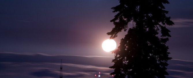 Detektiv International | Detektei ohne Grenzen | ManagerSOS