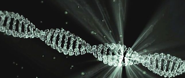 Detektei ManagerSOS Karlruhe,