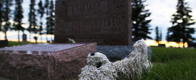 Detektei ManagerSOS Neuss - Düsseldorf