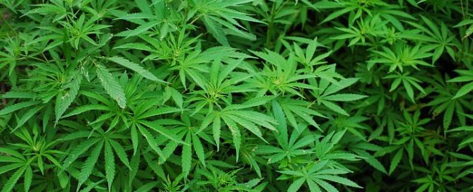 Detektei ManagerSOS - Detektiv Bremen