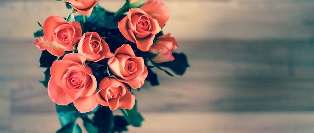 Detektei und Wirtschaftsdetektei ManagerSOS gegen Rezness und Romance Scamming