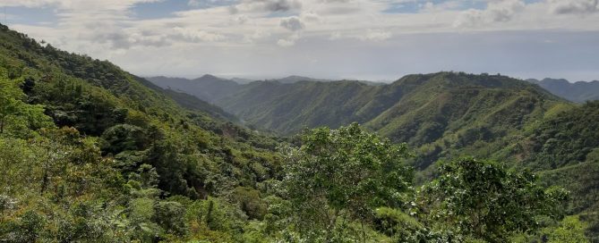 Background Check Frauen Asien – Südostasien Thailand – Philippinen – Echte Liebe oder Betrug?