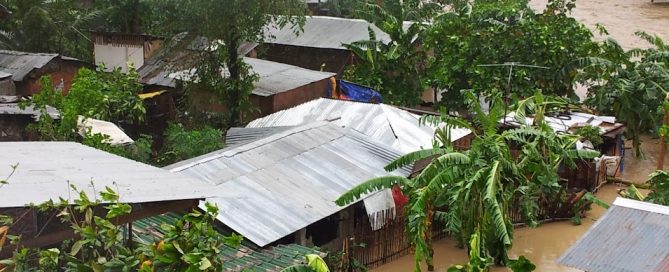 dschungelcamp www.detektiv-international.de