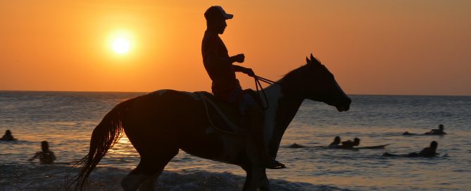 Detektei ManagerSOS - Detektive bei Liebsbetrug,