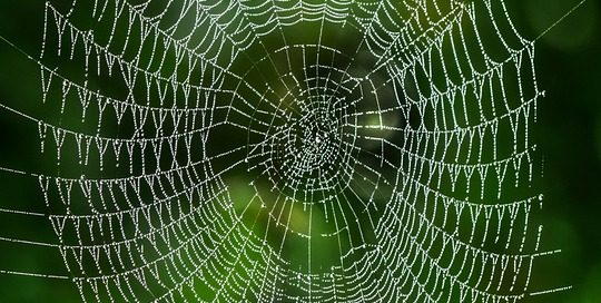 Gegen Sektenunterwanderung im Mittelstand www.detektiv-international.de